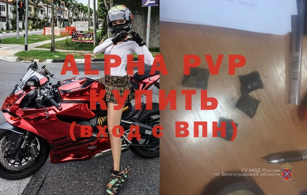 шишки Ахтубинск