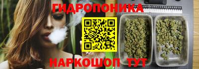 дурь Новокубанск