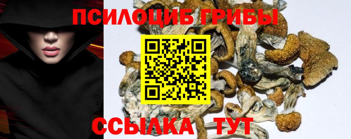 Псилоцибиновые грибы прущие грибы Рубцовск