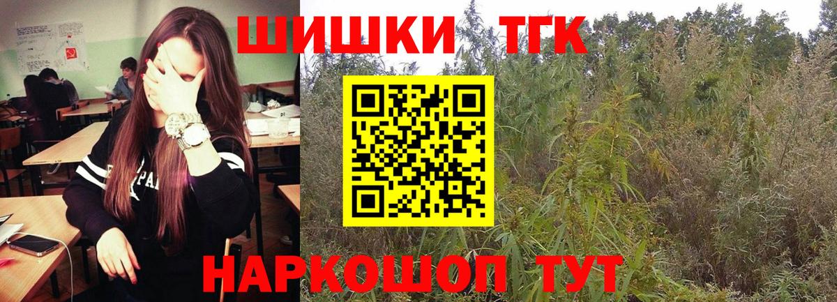 Конопля сатива Рубцовск